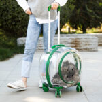 Pet Trolley Bag Portable Dog Out Transparent Trolley Bag Space Capsule - Image 2