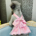Mesh Dress Skirt Dogs And Cats Bow Pearl - Image 5