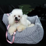 Fashion Personality Travel Car Kennel Supplies - Image 2