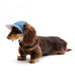 Pet Wild Cowboy Hat Sunscreen Dog Sun Protection Hat - Image 2