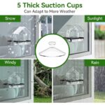 Acrylic Bird Cage Hummingbird Feeder Pet Supplies Transparent Wall-mounted Birds Feeder - Image 4
