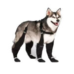 Elastic Belt With Reflective Pet Shoes Waterproof - Image 2