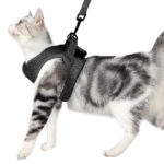 Vest-style Chest Strap Explosion-proof Slip Cat Rope - Image 4