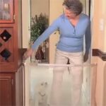 Pet Isolation Barrier Anti-fence Portable Folding Fence - Image 3