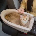 Central Control Car Portable Comfortable Doghouse - Image 8