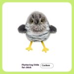 Gravity Flutter Small Fat Cat Self-Hi Relieving Stuffy Toy Simulation Bird - Image 4