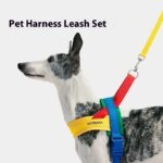 Pet Dog Walking Chest Strap And Traction Rope Set - Image 2