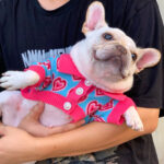 Pet Trendy Dog Sweater Cat French Schnauzer - Image 5