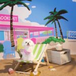 Small Dog Pet Cat Autumn Vest