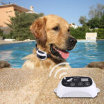 Wireless Electronic Pet Fence System - Image 2