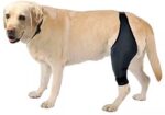 Tear Protection Rehabilitation Training Belt - Image 10