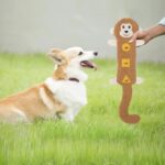 Durable Dog Toy Teeth Dog Toy Bite-resistant Dog Chew Toy Squeaky Pet Toy For Teeth Treat Dispensing Engaging Pet For Puppies - Image 10