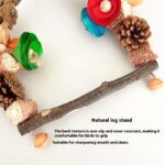 Parrot Swing Pine Nut Grinding Mouth Grinding Claw Log Bird Stand Rod Color Decoration - Image 8