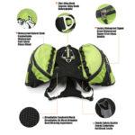 Outdoor Training Of Pet Dog Chest Back Backpack - Image 4