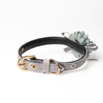 Pet cat dog collar cute flowers - Image 3
