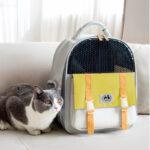 Portable And Foldable Large-capacity Cat And Dog Backpack - Image 10
