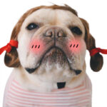 Creative Pet Simple Funny Wig Headgear - Image 5