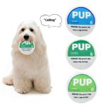 Dog Gnawing And Creaking Relieving Stuffy Plush Toy - Image 2