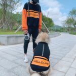 Pet Fashion Without Hat Parent-child Sweater Clothes - Image 3