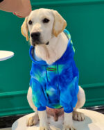Pet Dog Tide Brand Warm And Thickened Tie Dyed Sweatshirt - Image 5