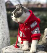 Pet Cat Dog Clothing Pure Cotton Plus Fleece Sweater - Image 4