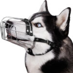 Dog Mouth Cover Golden RetrieverGerman Shepherd Dedicated - Image 4