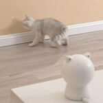 Smart red light cat toy - Image 2