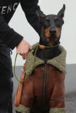 Winter Plus Velvet Pet Lapel Leather Coat For Big Dogs - Image 5