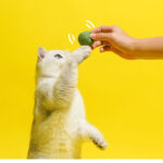 Cat Balls Cat Hide And Seek Toys Kitten Teasing Stick Self-Help Relief Sisal Balls Cat Teething Pea Toy Balls Supplies - Image 2