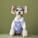 Dog Clothes Fake Two-piece Sweater Knit Sweater Pomeranian Law Fighting Pet Outfit Trend - Image 3