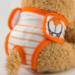 Sanitary Napkin Pet Menstrual Aunt Pants - Image 4