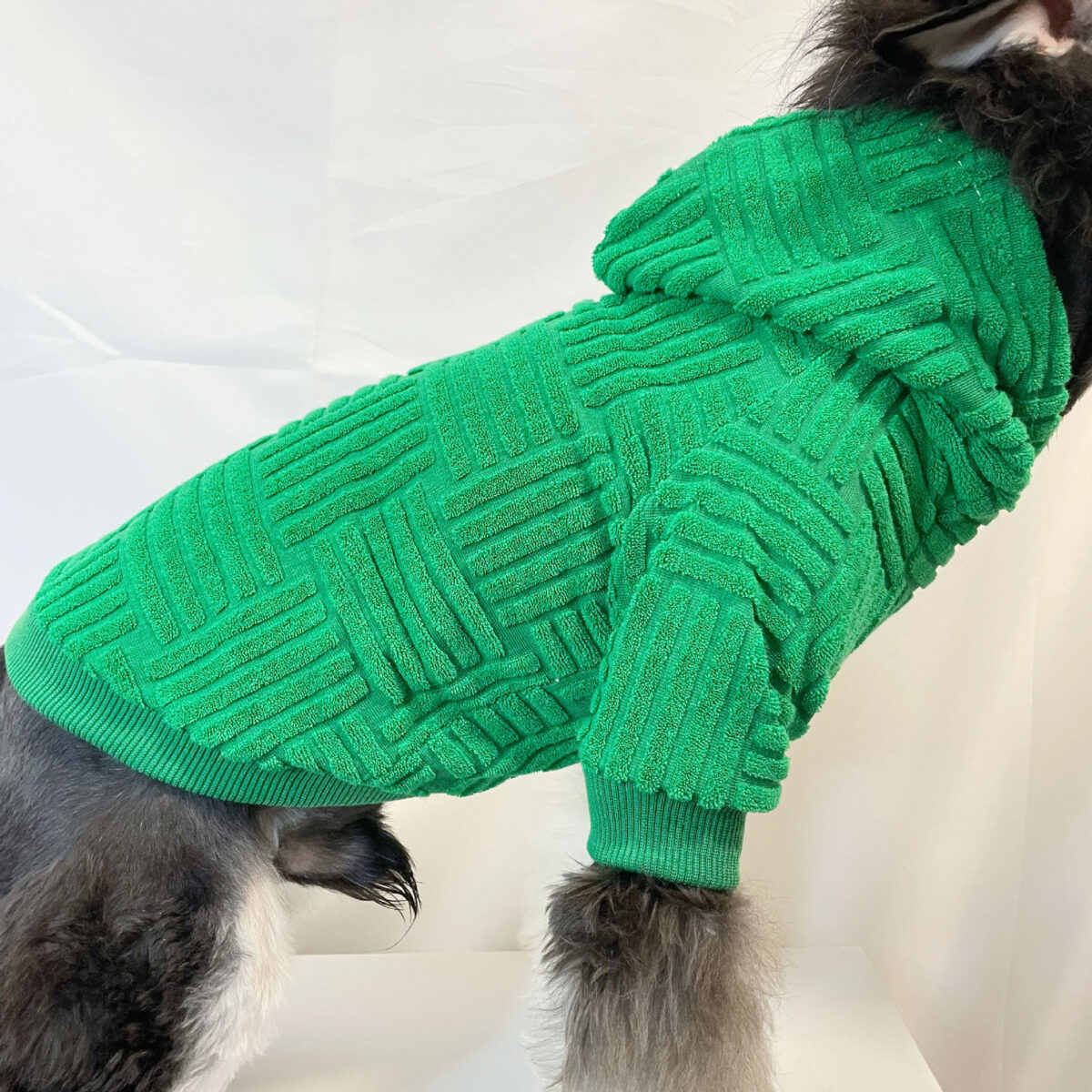 Pet Clothes Green Terry Sweater Hoodie Fashion - Image 6