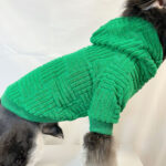 Pet Clothes Green Terry Sweater Hoodie Fashion - Image 6