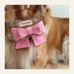 My Maillard Puppy Bow Bib - Image 5