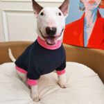 Pet Plus Fleece Warm Fluorescent Contrast Sweater - Image 3