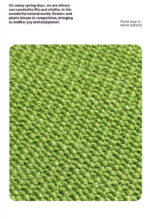 Scratch-resistant Wear-resistant Cat Scratching Pad Non-chip Protection Cat's Paw Pet Products Carpet - Image 5