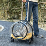 Large Capacity Universal Wheel Fully Transparent Pet Trolley Bag Breathable - Image 2