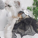 Cat Dog Vest Hand Holding Rope Dress - Image 3