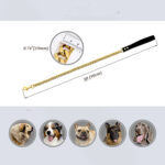 19mm Stainless Steel Golden Pet Dog Titanium Steel Leash - Image 4