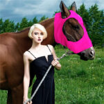 Lycra Horse Fly Mask With Ears Comfort Fit Mesh Trail Pasture Sun UV Protection - Image 8