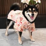 Creative Printing Cotton Pet Dog Clothes - Image 4