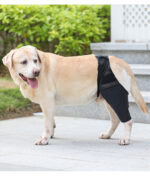 Pet Joint Protector Fracture Disability Fixed Knee Pad Leg Auxiliary Strap Dog Postoperative Protective Cover - Image 9