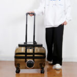 Cat Bag Portable Pet Trolley Bag Space Capsule Transparent Cat Luggage - Image 5