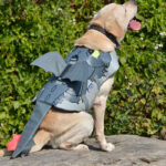 Flying Dragon Cosplay Dog Swimsuit - Image 5