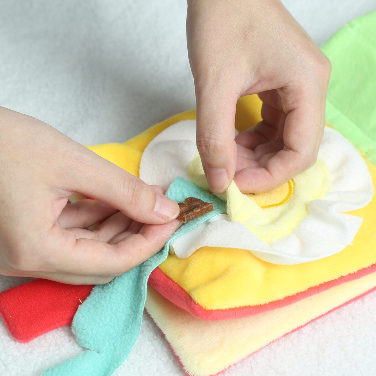Food Leakage Smell Sound Looking For Hidden Food Books Pet Toys - Image 4