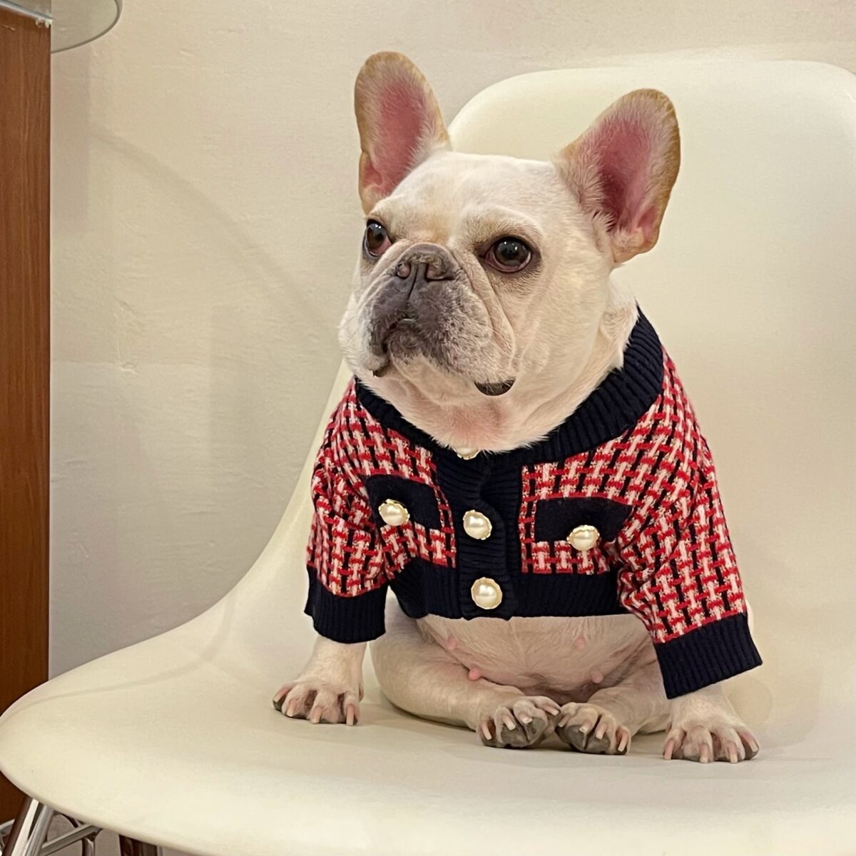 Fashion Cute Print Winter Pet Clothes Winter Sweater - Image 1