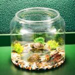 Transparent Plastic Ecological Desktop Landscaping Feeding Fish Tank - Image 3