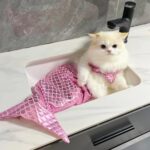 Cat Mermaid Costume Creative Cat And Dog Costumes Funny Cat Mermaid Costume Cat Mermaid Fishtail Dress Puppy Mermaid Fishtail Dress Pet Mermaid Costume Humor Funny Photo Props - Image 3