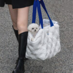 One Shoulder Portable Medium-sized Pet Bag To Keep Warm In Winter - Image 3