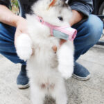 Soft Leather Mesh Breathable Pet Dog Mouth Mask - Image 5